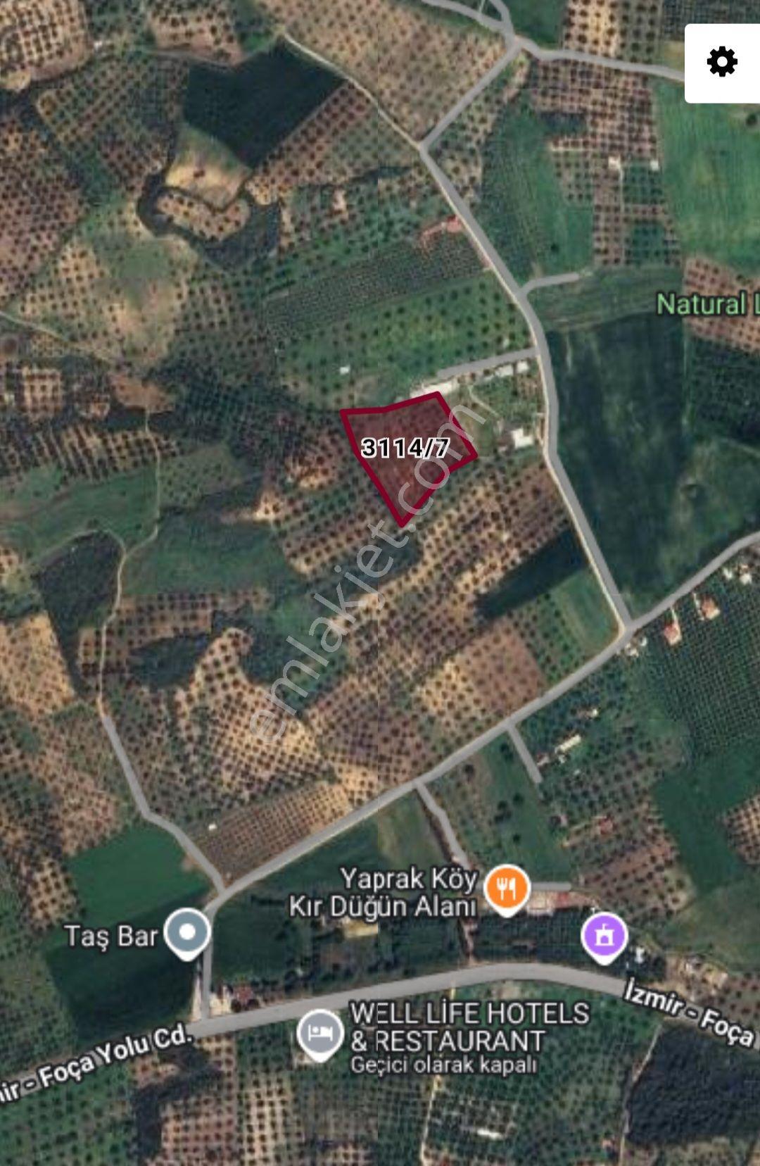 İzmir Aliağa Barboros Hayrettin Paşada Satılık Tarla, Çakırdan - Görsel 8
