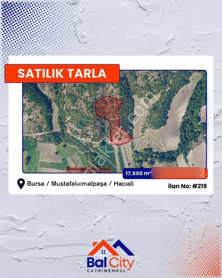 Balcity - Bursa Mustafakemalpaşa Hacıali Mahallesi 17 Dönüm Arazi