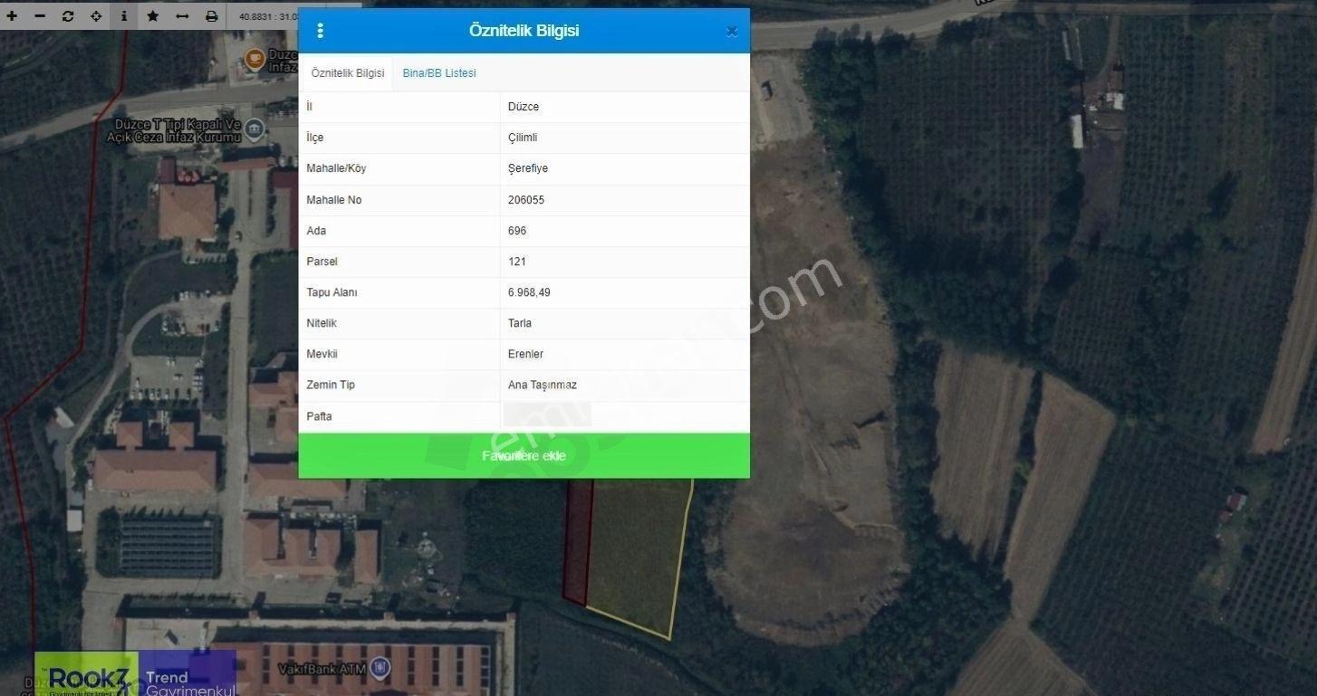 Düzce Çilimli Şerefiye Köyü'nde 9.918 M² Yatırımlık Tarla - Görsel 5