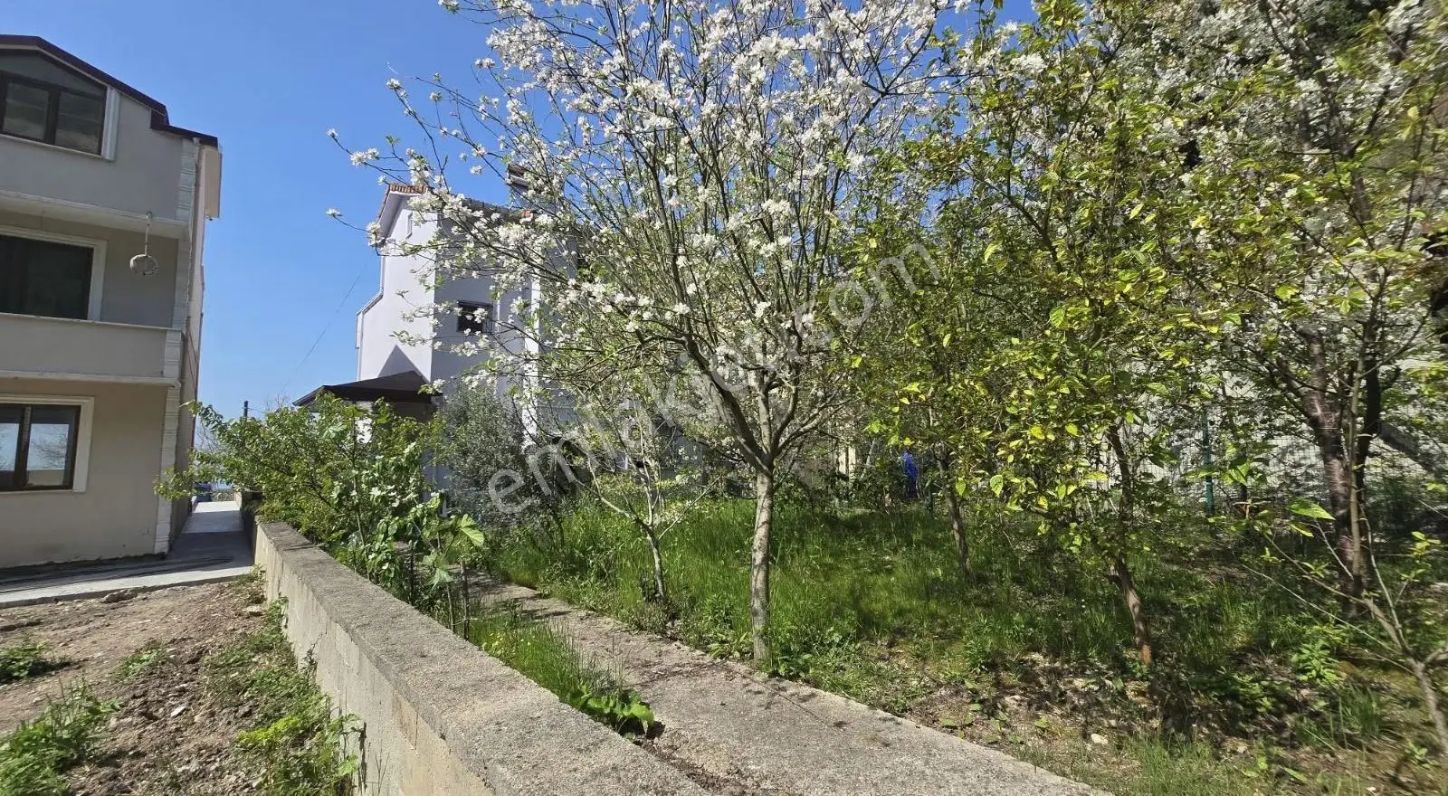 Cide İlkim Emlak'tan Denize Sıfır Satılık Villa - Görsel 3