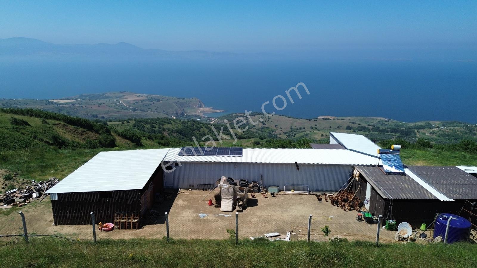 Sevinç'ten Lebi Derya, Ruhsatlı, Elk Ve Su Mevcut 2.423 M² Arazi - Görsel 24