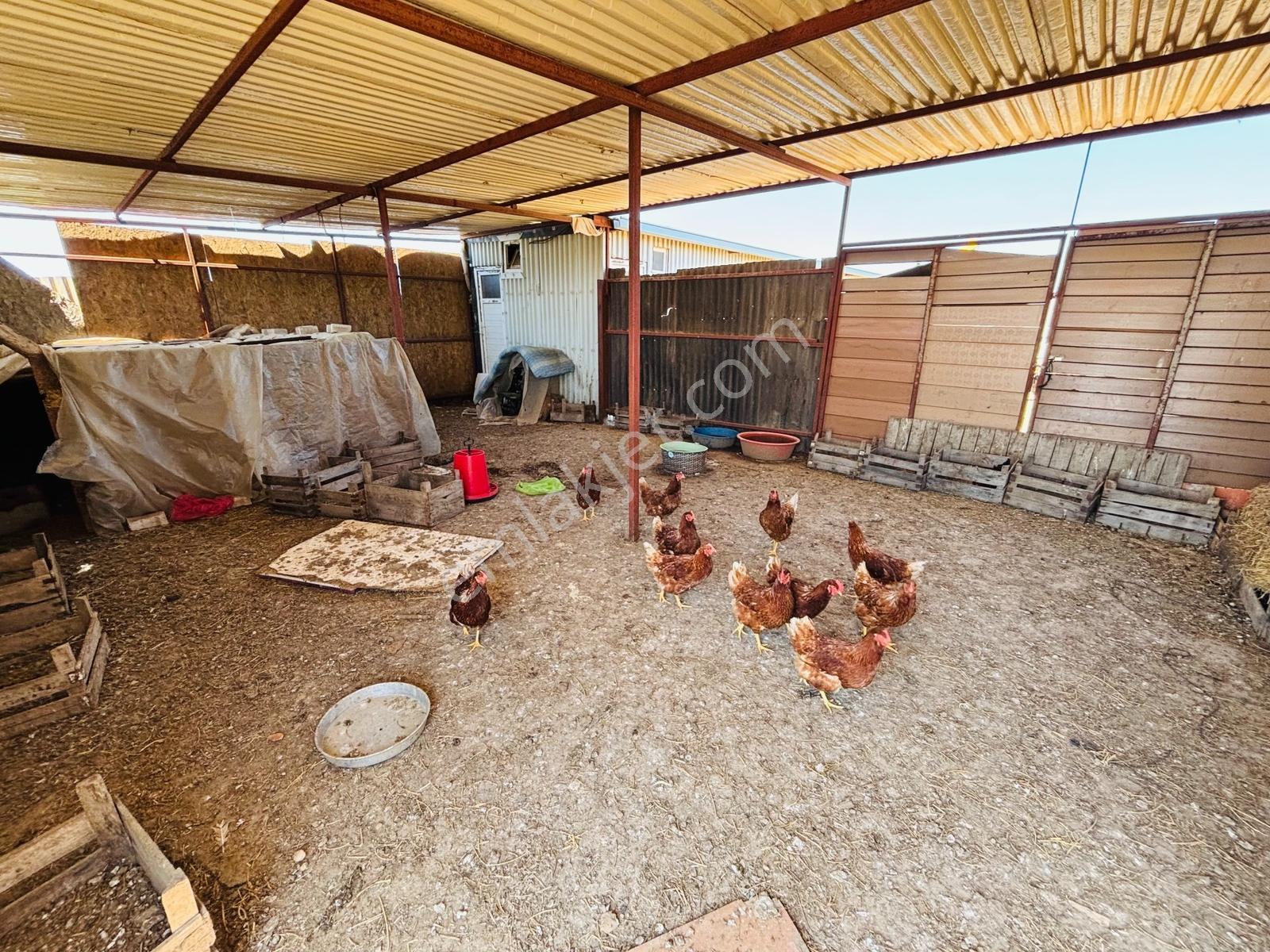 Sevinç'ten Lebi Derya, Ruhsatlı, Elk Ve Su Mevcut 2.423 M² Arazi - Görsel 31
