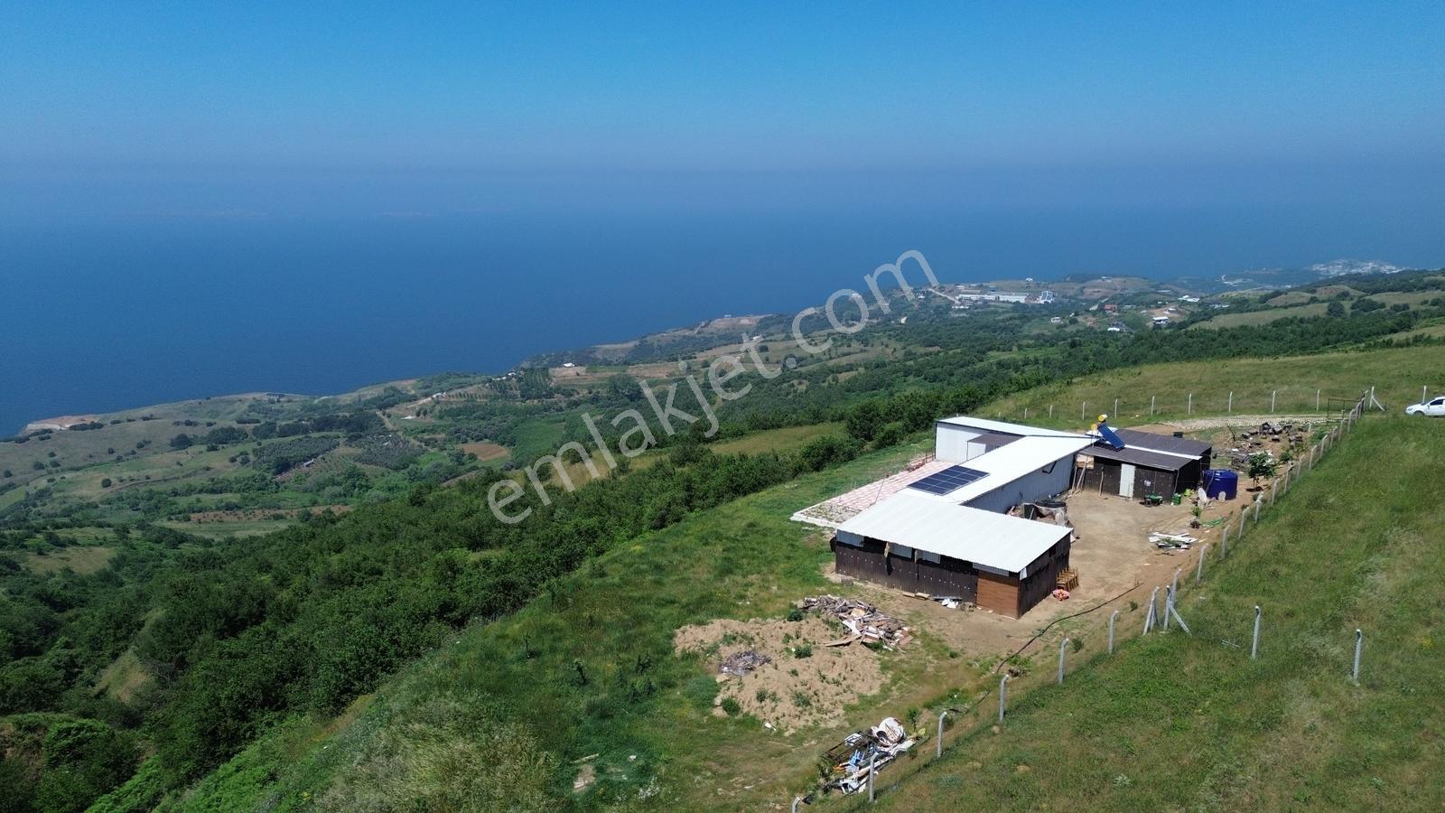 Sevinç'ten Lebi Derya, Ruhsatlı, Elk Ve Su Mevcut 2.423 M² Arazi - Görsel 5