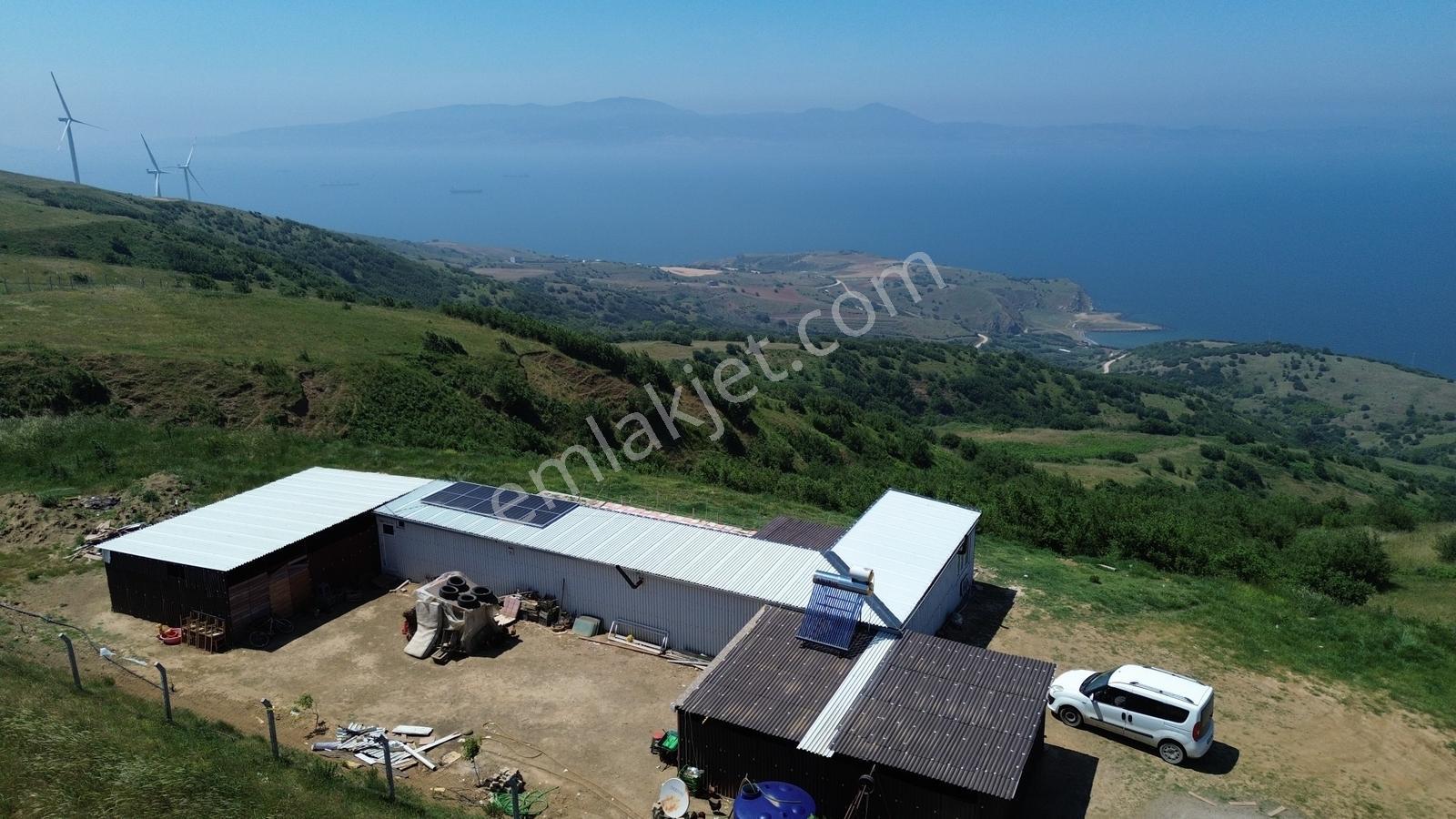 Sevinç'ten Lebi Derya, Ruhsatlı, Elk Ve Su Mevcut 2.423 M² Arazi - Görsel 17