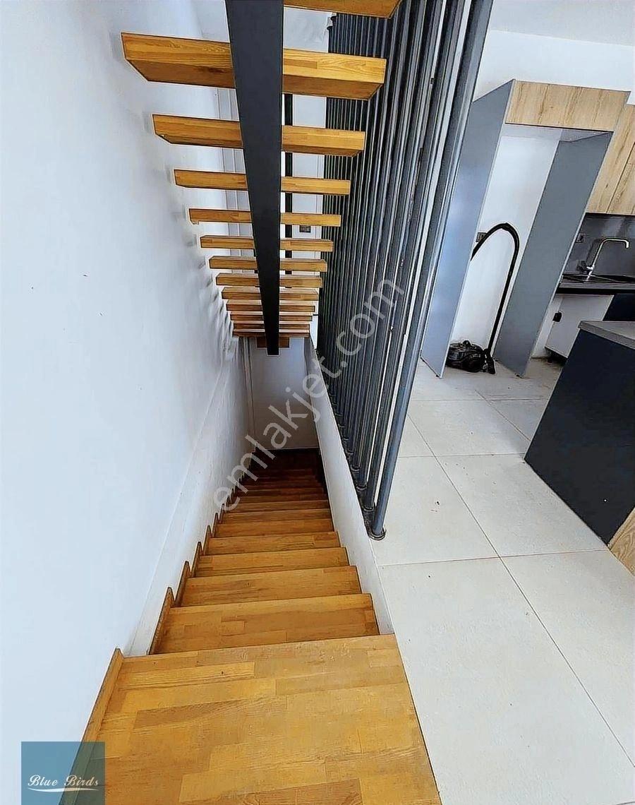Kuşadası Avm Bölgesi Kiralık Tek Müstakil Villa - Görsel 11