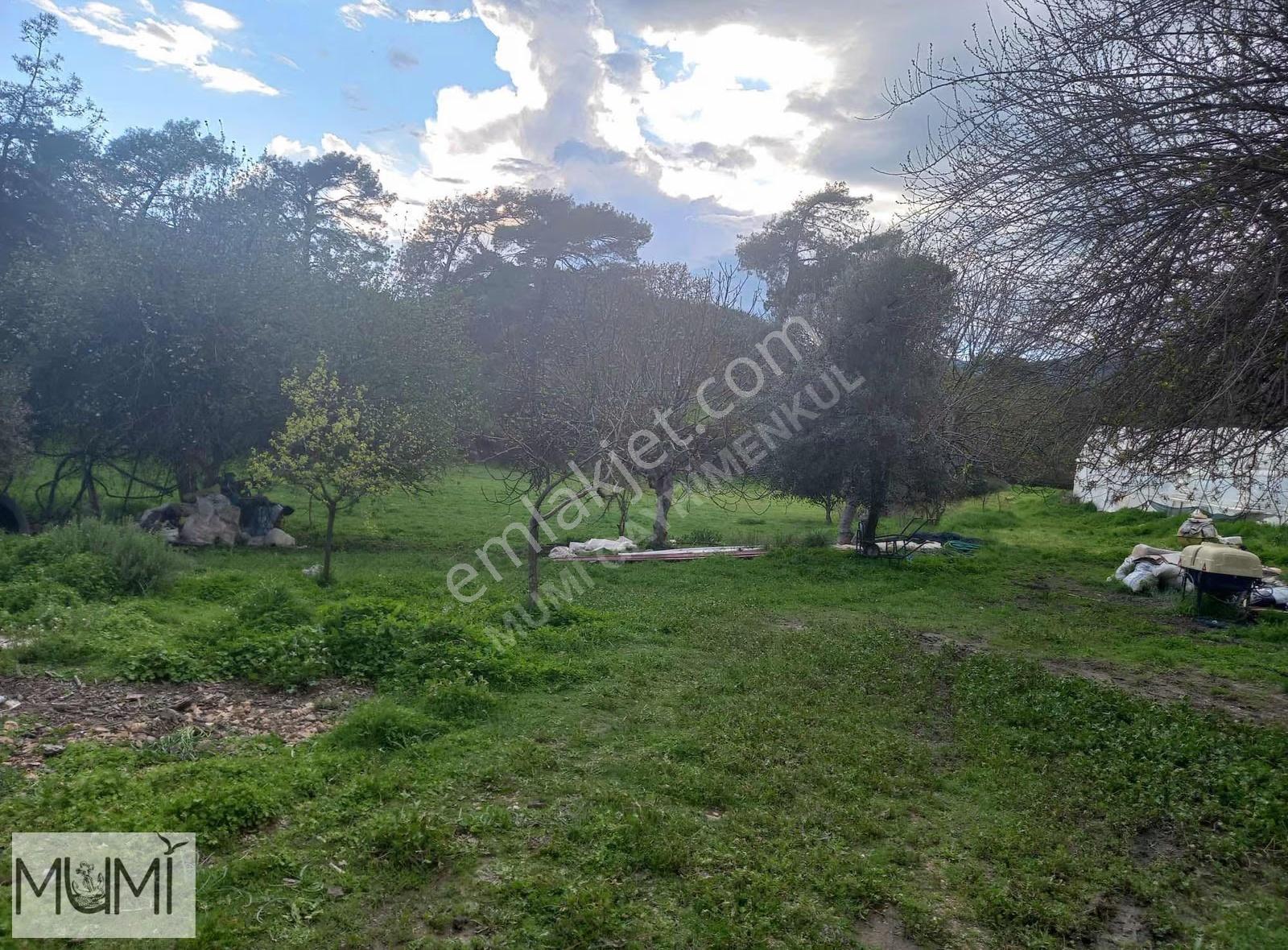 Kaş Çeşmede Evli, Seralı, Kuyulu Yatırımlık Tarım Arazisi - Görsel 2