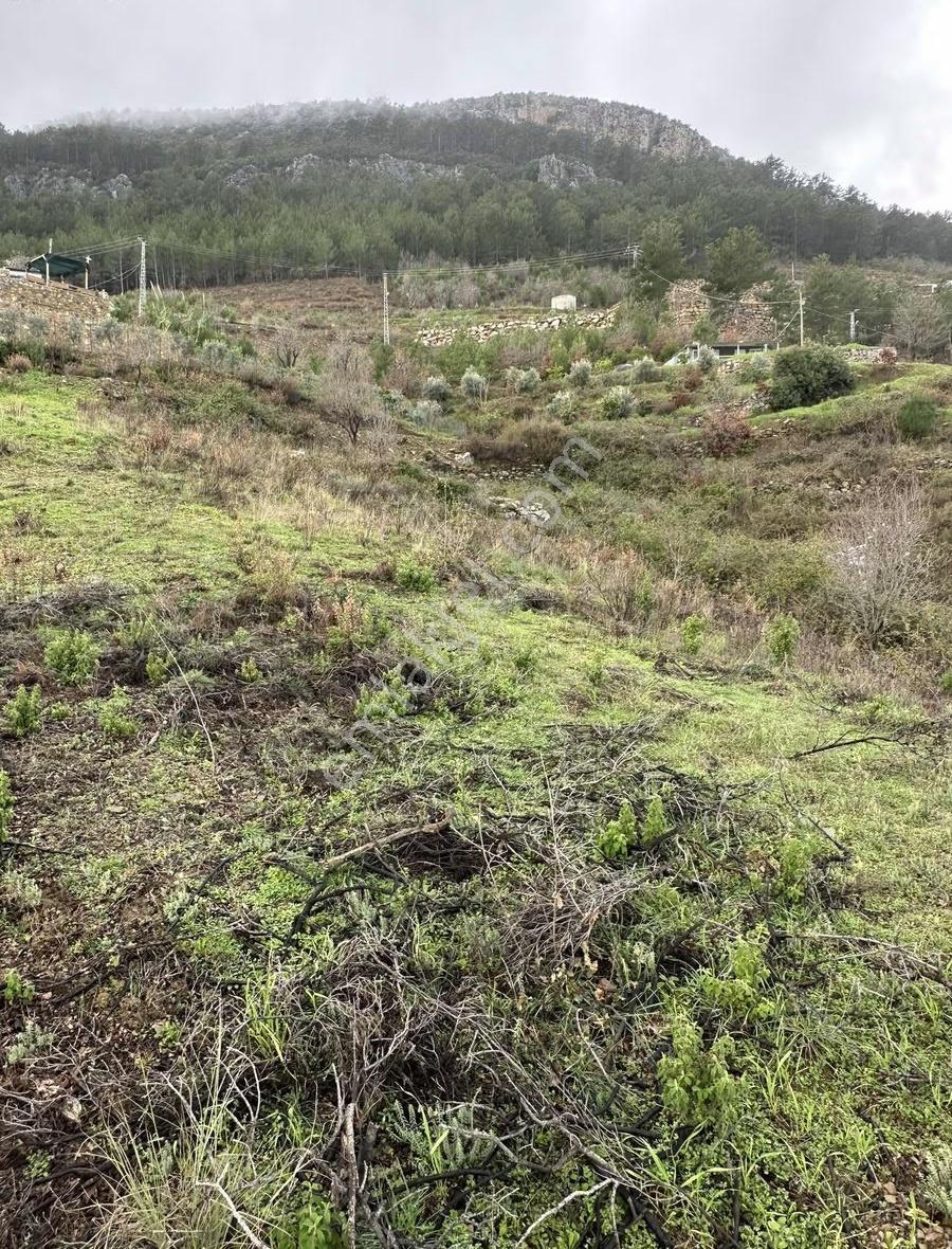 Alanya Fakırcalı Mah Sahibinden Satılık Uygun Tarla - Görsel 3