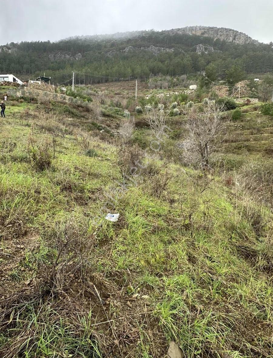 Alanya Fakırcalı Mah Sahibinden Satılık Uygun Tarla - Görsel 2