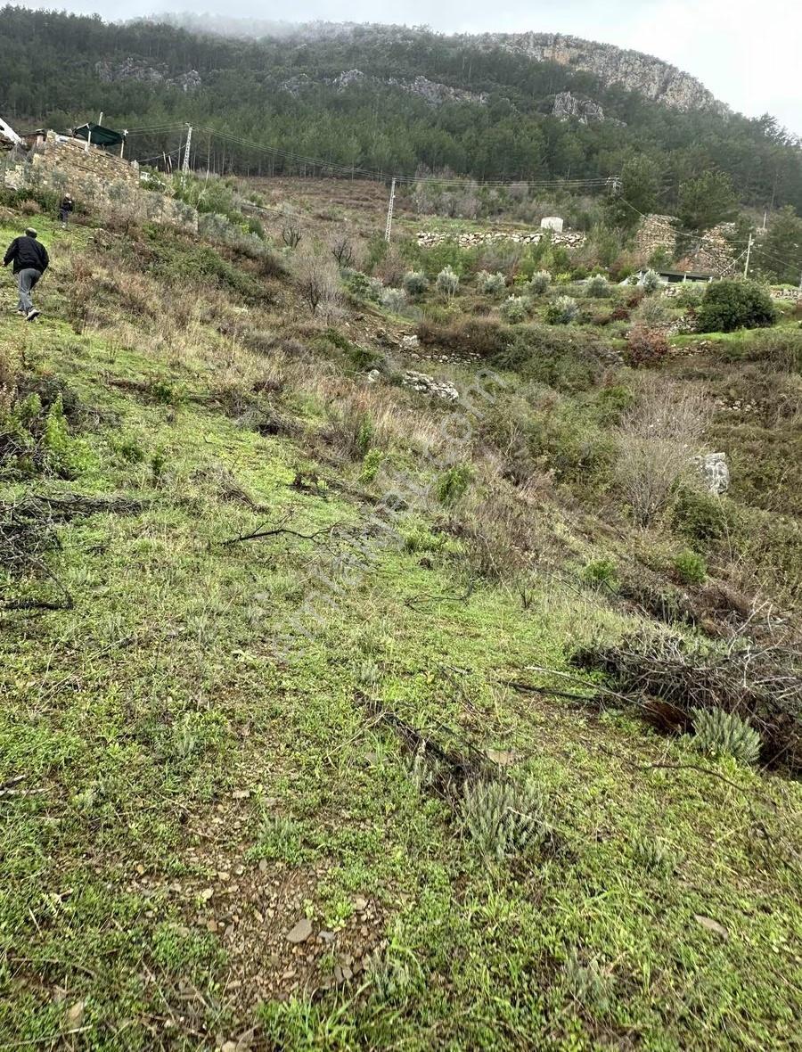Alanya Fakırcalı Mah Sahibinden Satılık Uygun Tarla - Görsel 4