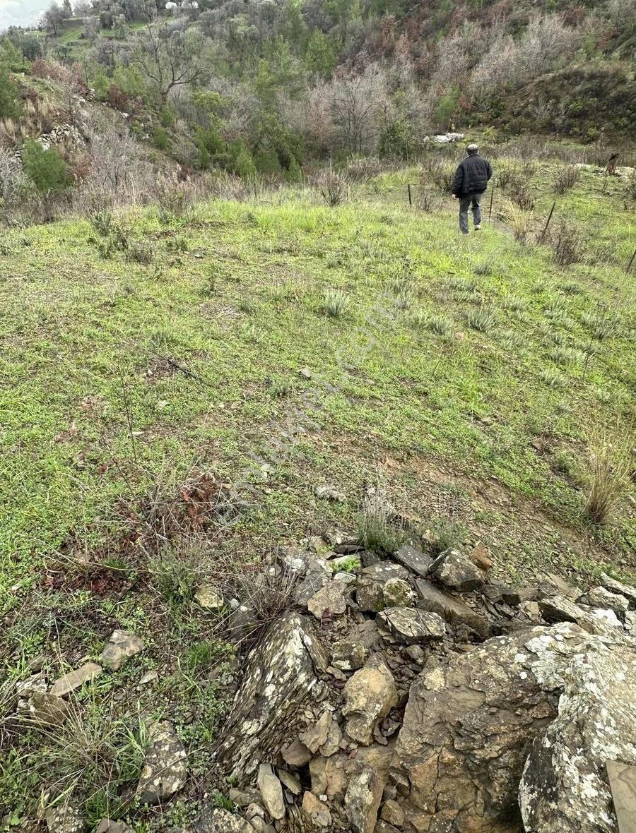 Alanya Fakırcalı Mah Sahibinden Satılık Uygun Tarla - Görsel 7