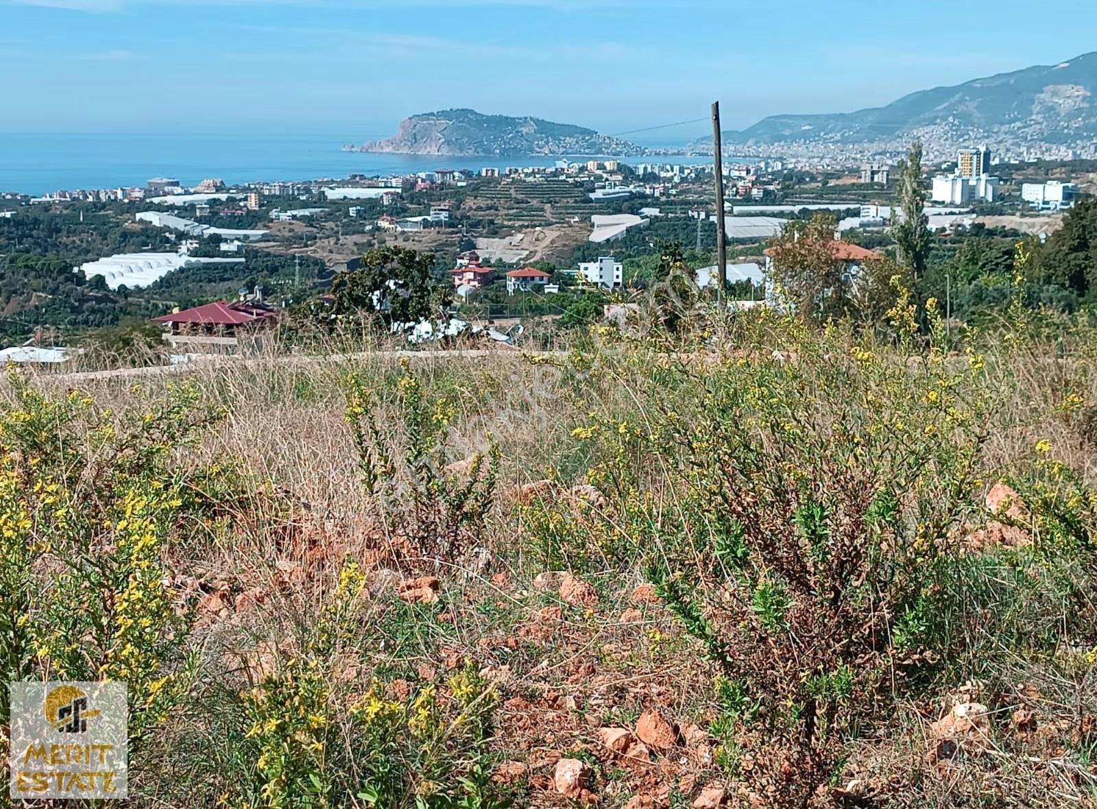 Kestel Yaylalı Mah. Denize Ve Kale Manzaralı Satılık 1815m2 Tarl