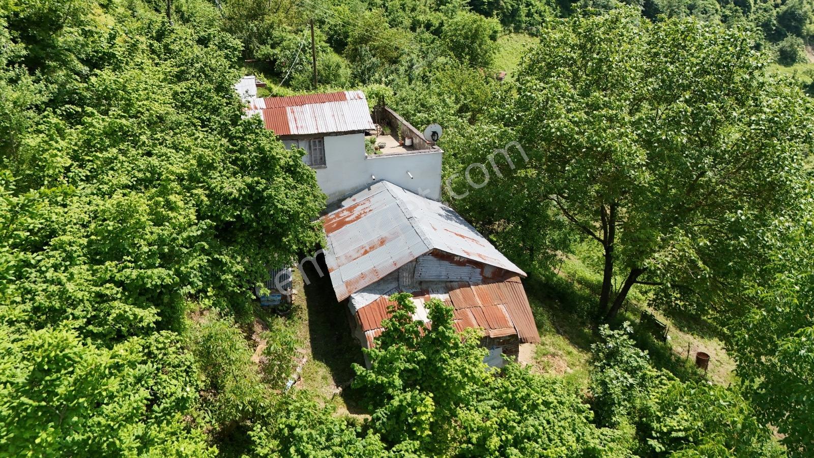 Bi·nova'dan Gölalanda Satılık Köyiçi 4090 M² Ev Ve Tarla - Görsel 5