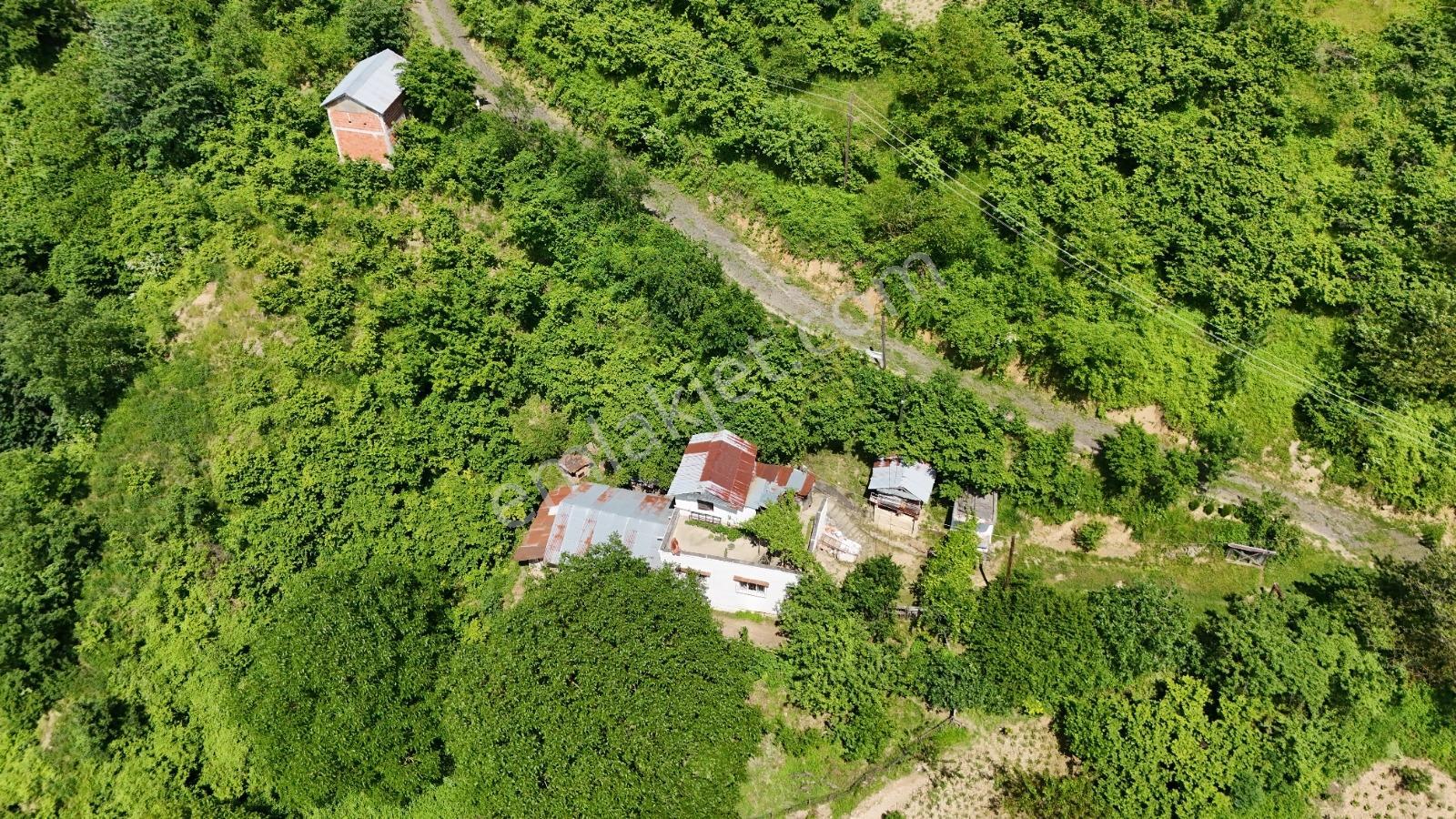 Bi·nova'dan Gölalanda Satılık Köyiçi 4090 M² Ev Ve Tarla - Görsel 19