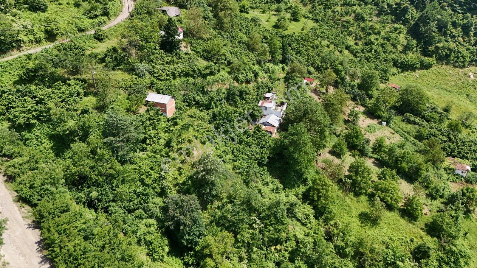 Bi·nova'dan Gölalanda Satılık Köyiçi 4090 M² Ev Ve Tarla - Görsel 18