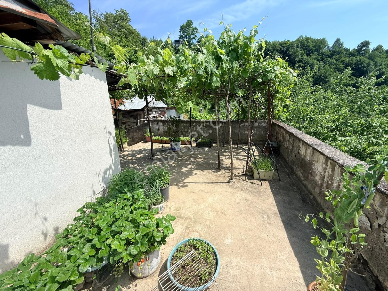 Bi·nova'dan Gölalanda Satılık Köyiçi 4090 M² Ev Ve Tarla - Görsel 16