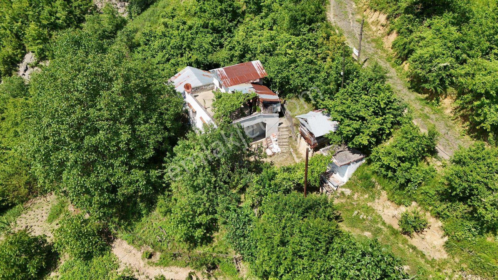 Bi·nova'dan Gölalanda Satılık Köyiçi 4090 M² Ev Ve Tarla - Görsel 6