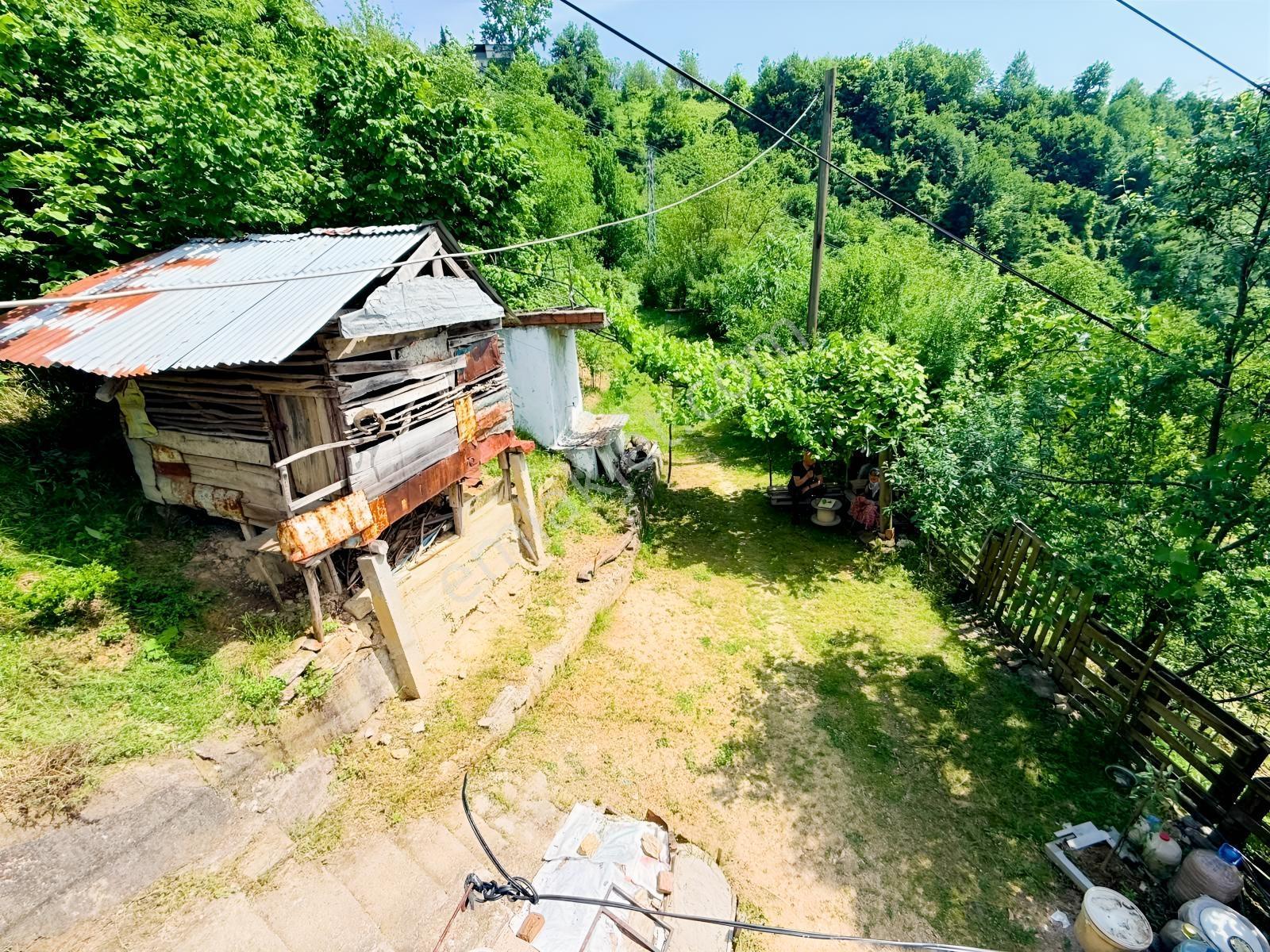 Bi·nova'dan Gölalanda Satılık Köyiçi 4090 M² Ev Ve Tarla - Görsel 9