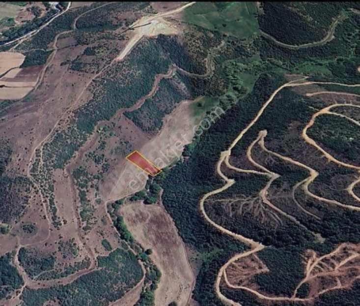 Karacabey İnkaya Mah. Karakoca Toki Yakınında Yatırımlık Arazi - Görsel 8