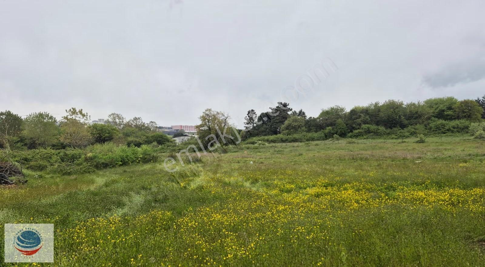 Gebze Balçık Mh Satılık 11.000 M² Ticari İmarlı Arsa - Görsel 3