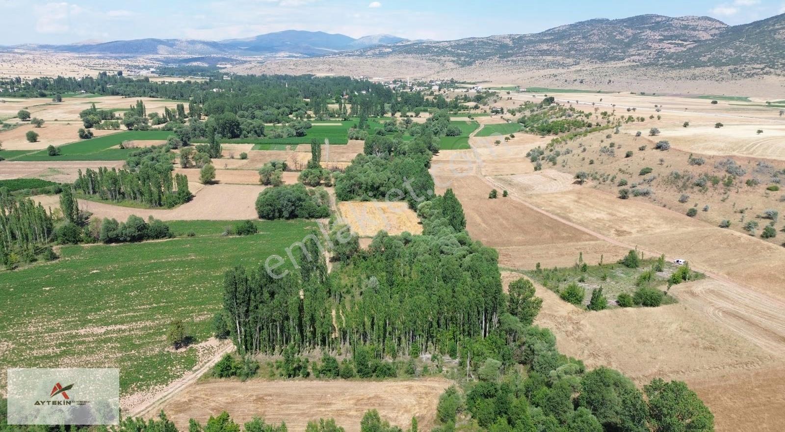 Beyşehir Yenidoğan Yenice Mhnde Dereye Cepheli 452 M² Tarla - Görsel 4