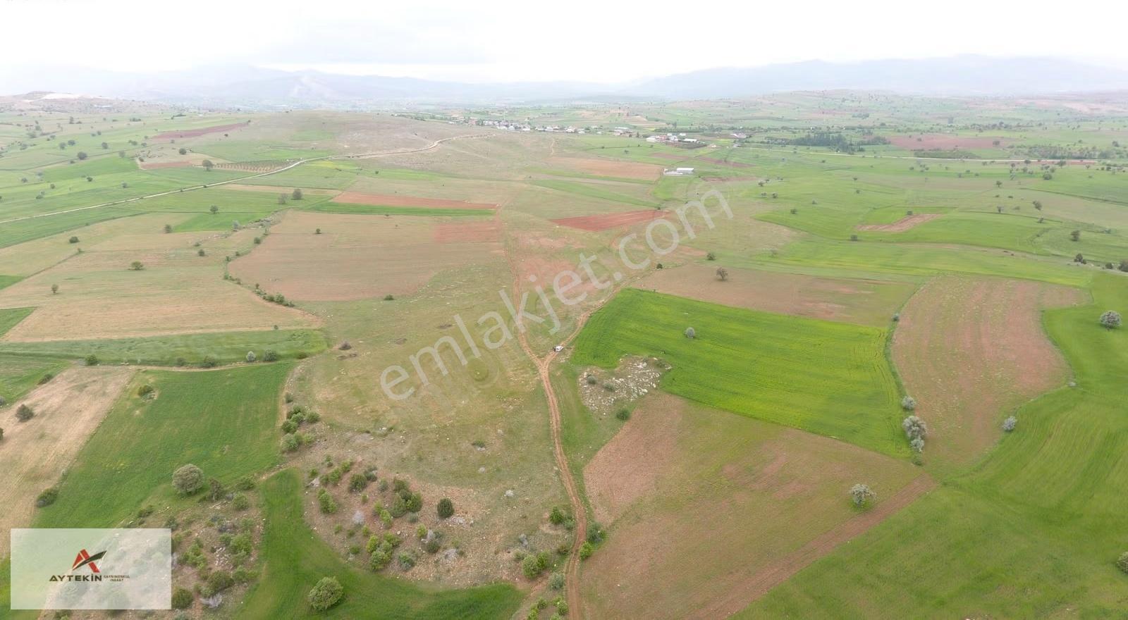 Derbent Saraypınar Mahallesinde 10.689 M² Müstakil Tapulu Tarla