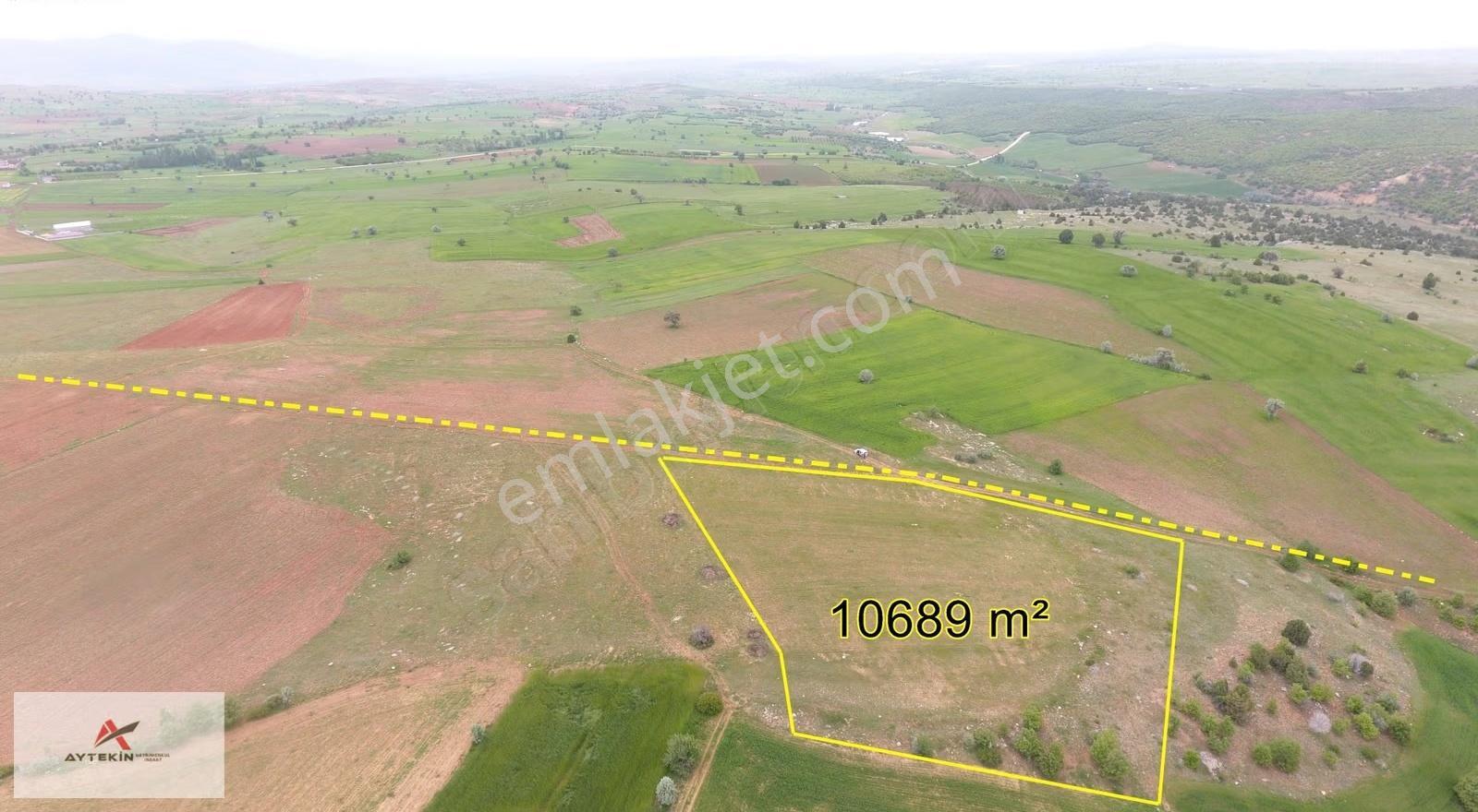 Derbent Saraypınar Mahallesinde 10.689 M² Müstakil Tapulu Tarla - Görsel 8