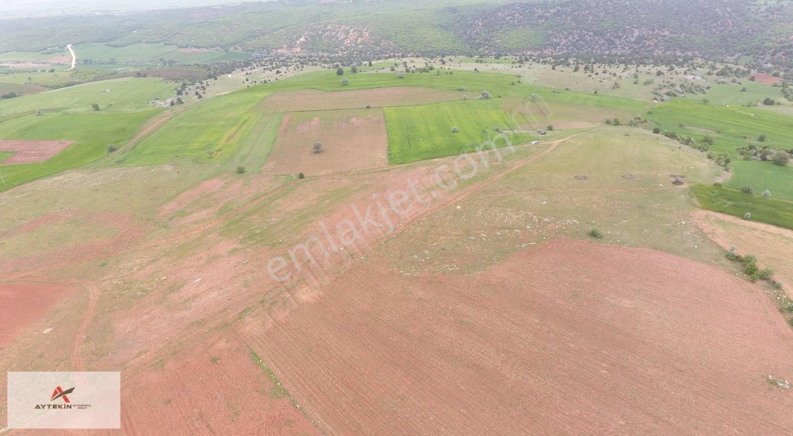 Derbent Saraypınar Mahallesinde 10.689 M² Müstakil Tapulu Tarla - Görsel 5