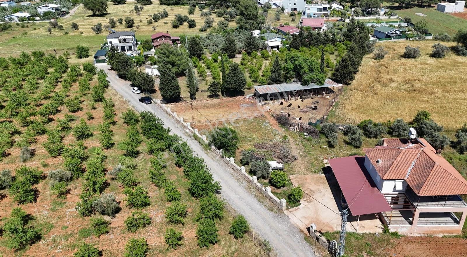 Duacı Tek Tapu 3000m² Fırsat Arazi - Görsel 2