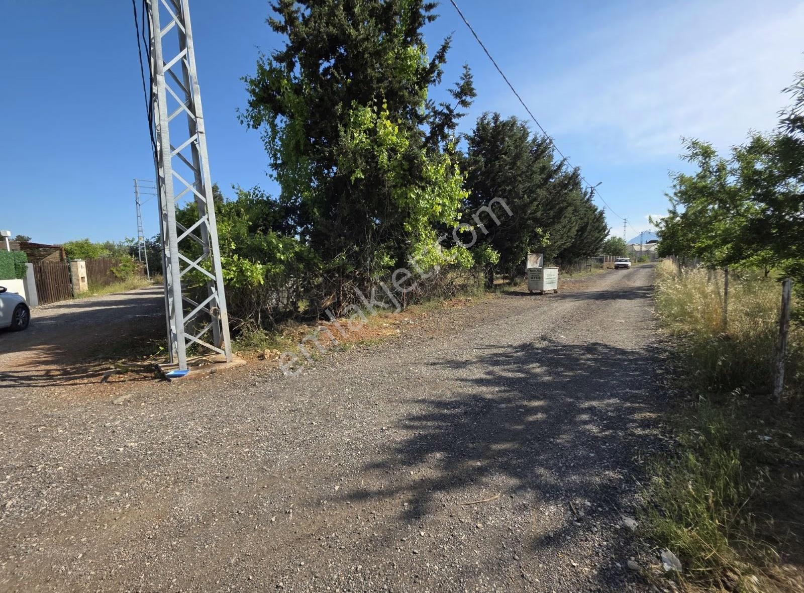 Duacı Tek Tapu 3000m² Fırsat Arazi - Görsel 32