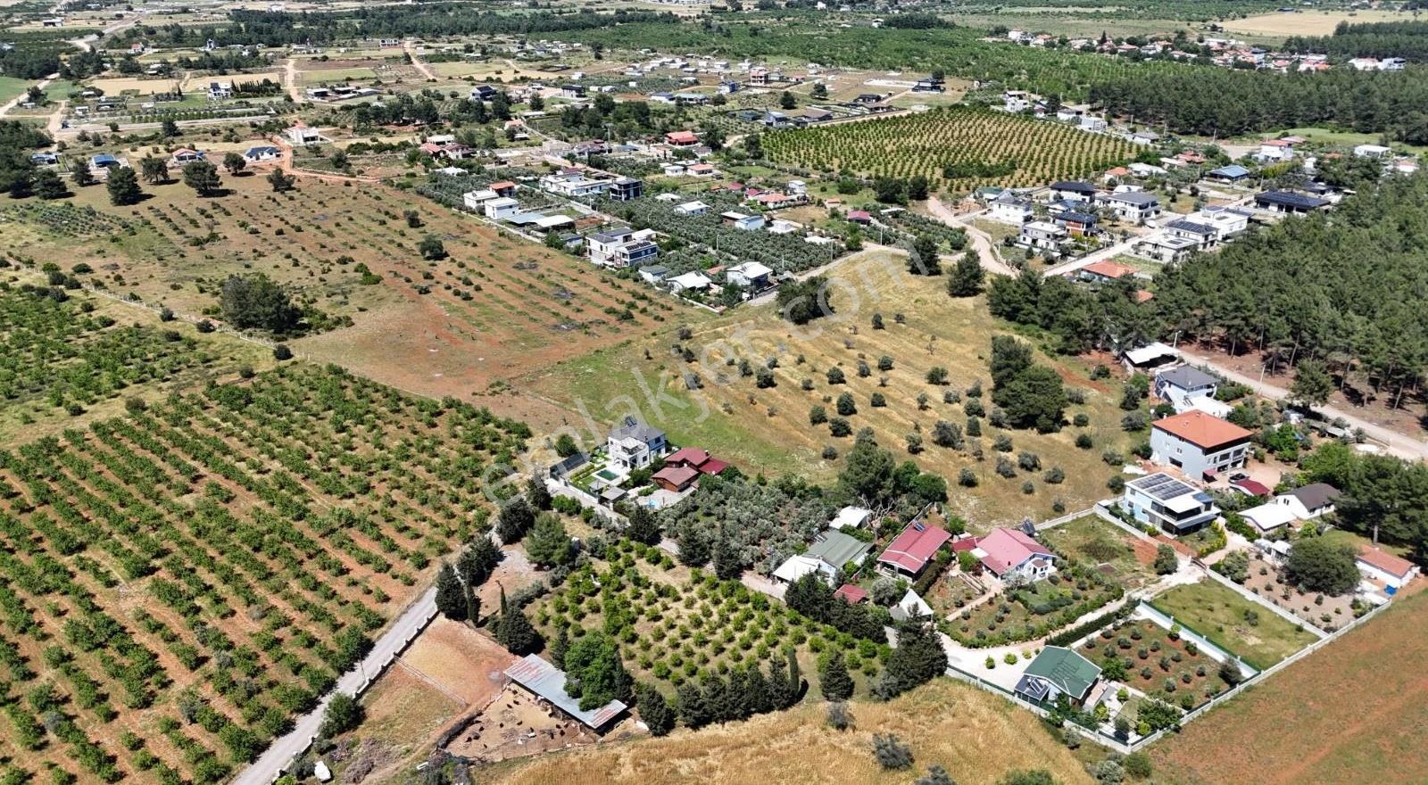 Duacı Tek Tapu 3000m² Fırsat Arazi - Görsel 12
