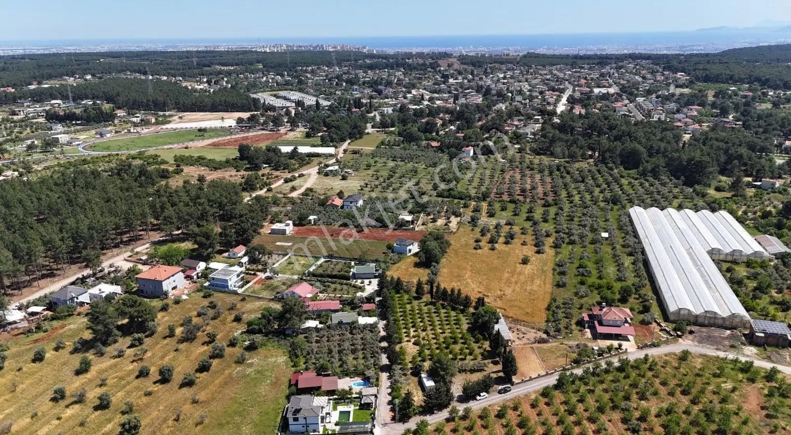 Duacı Tek Tapu 3000m² Fırsat Arazi - Görsel 16