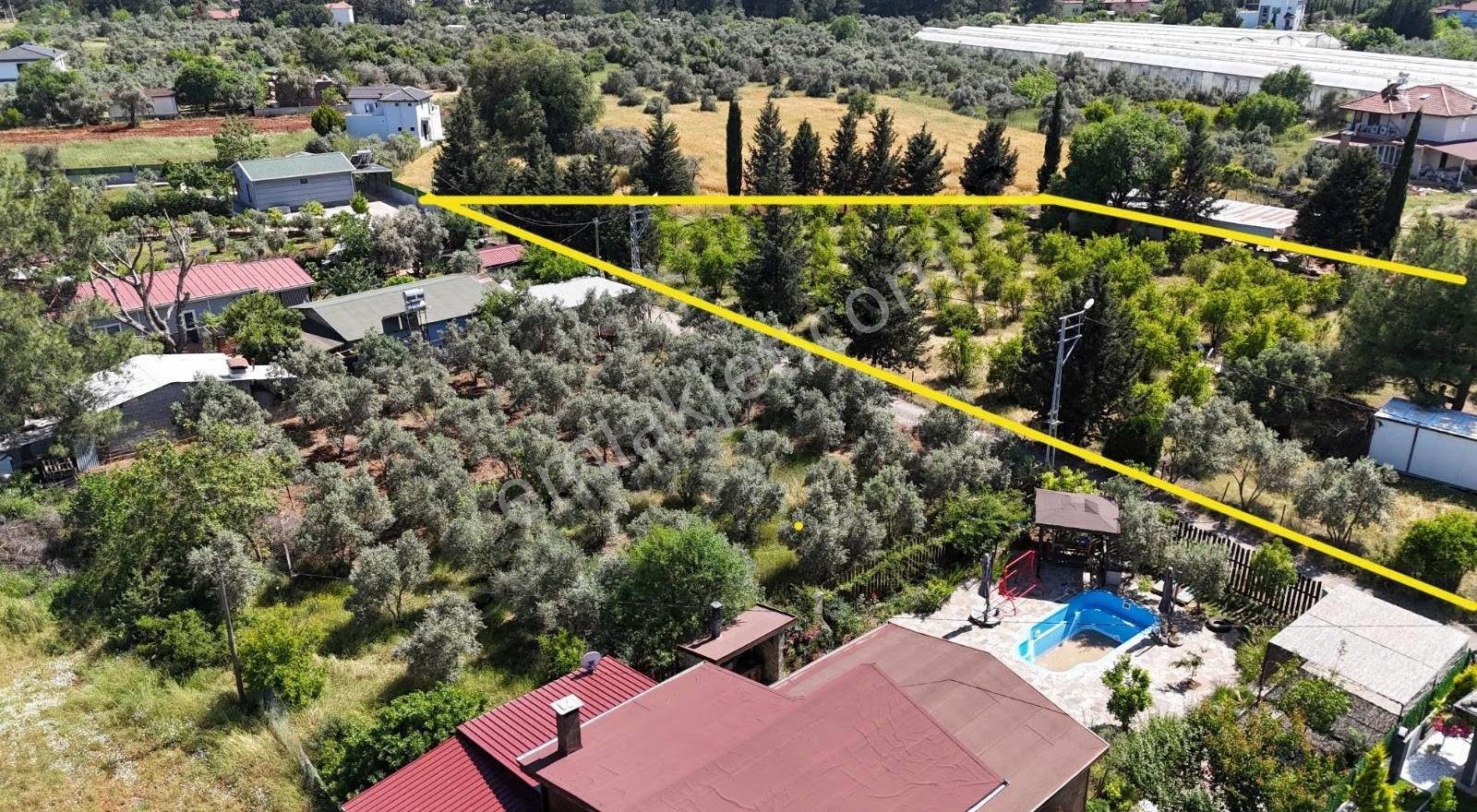 Duacı Tek Tapu 3000m² Fırsat Arazi - Görsel 3