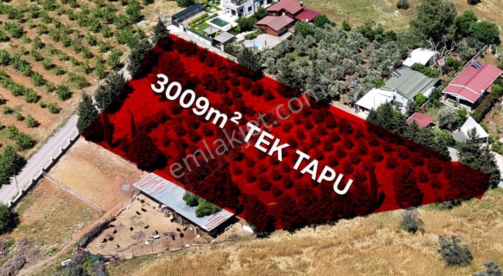 Duacı Tek Tapu 3000m² Fırsat Arazi