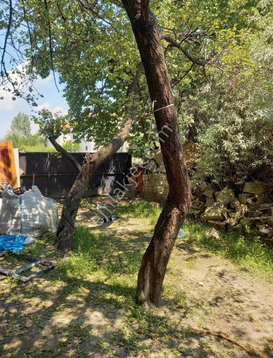 Argıncık Kayabaşı Mah. İki Katlı 250m2 Arsalı - Görsel 8