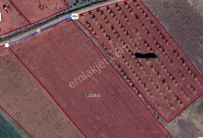 Kristal İz Akçasusurlukta Yola Cephe Yatırımlık Fırsat Tarla - Görsel 8