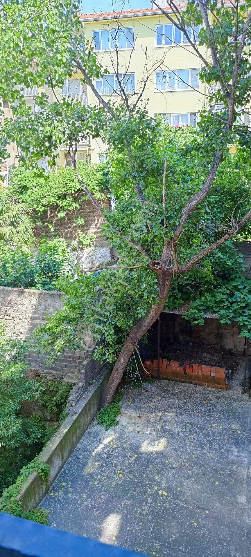 My Ekipdenbursa Kentmeydanına Yakın Cadde Üzerinde 6 Katlı Bina - Görsel 26