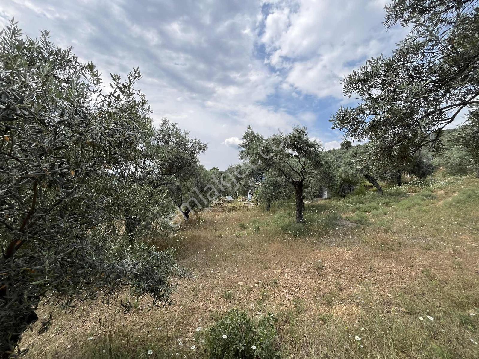 Torbalı Dirmil'de Satılık 1216 M² Yapılaşmaya Hazır Arsa - Görsel 32