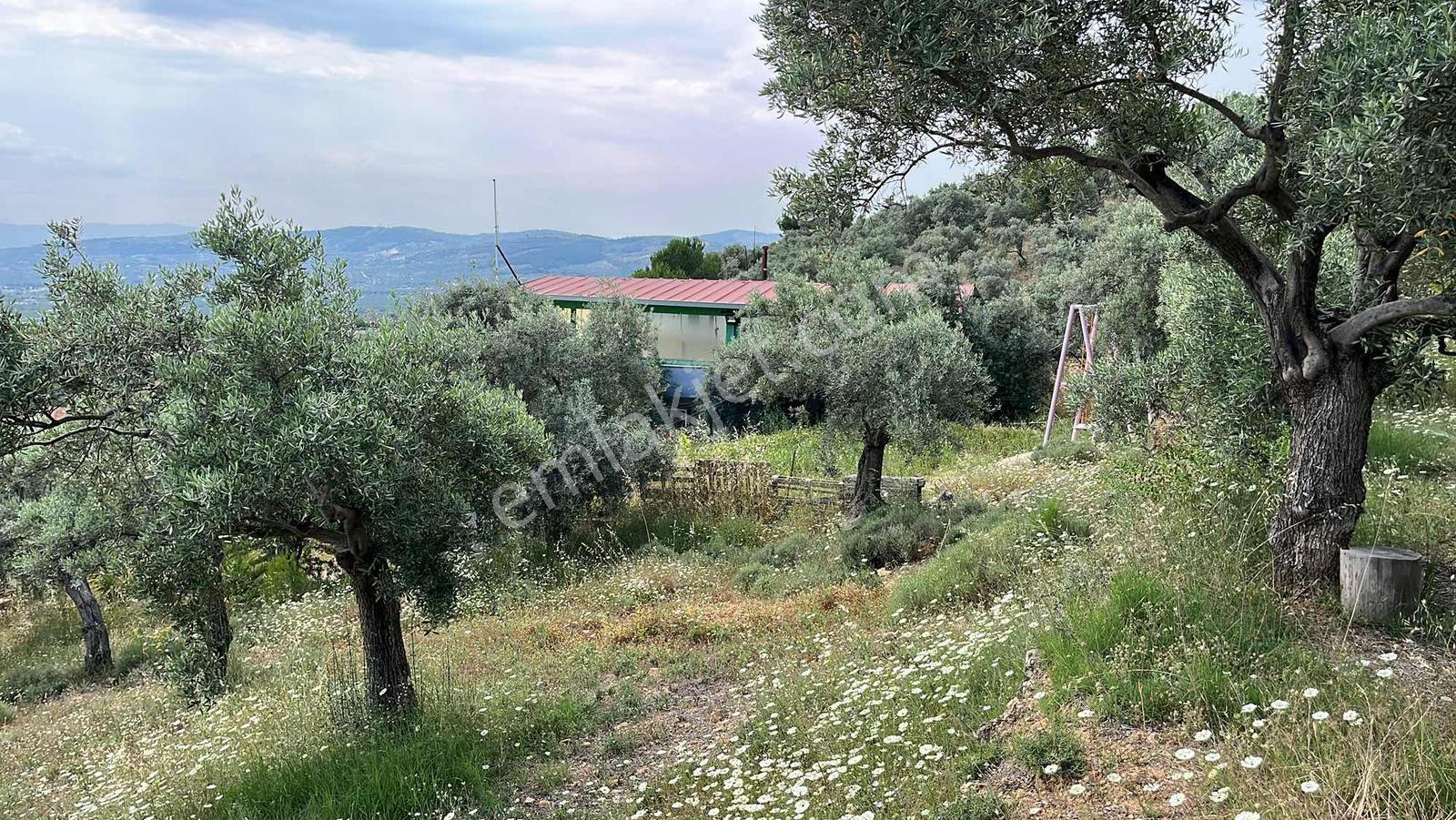 Torbalı Dirmil'de Satılık 1216 M² Yapılaşmaya Hazır Arsa - Görsel 37