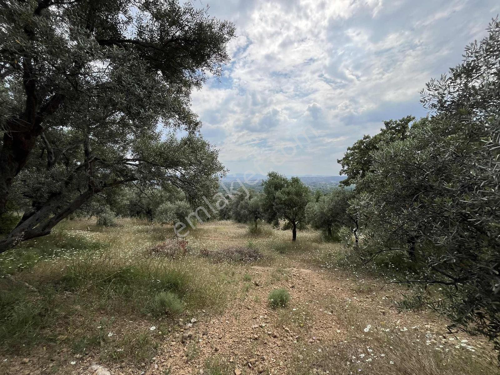 Torbalı Dirmil'de Satılık 1216 M² Yapılaşmaya Hazır Arsa - Görsel 17