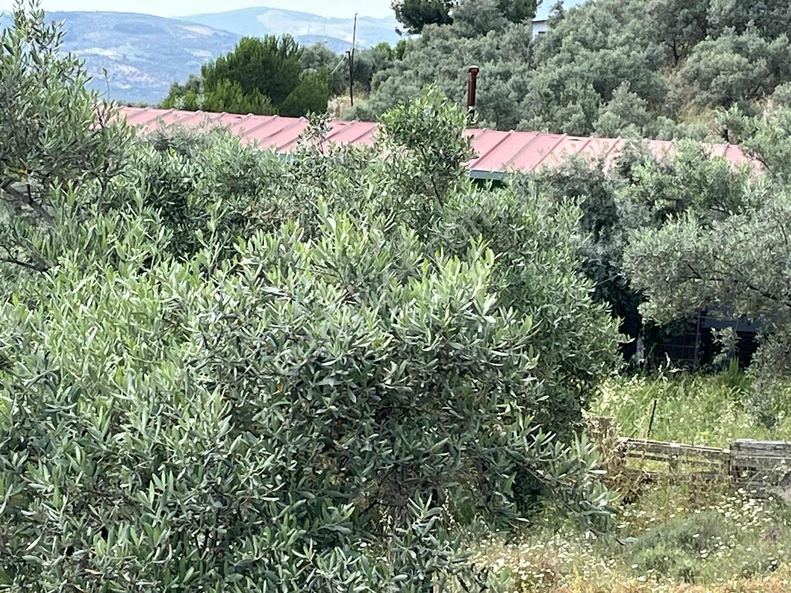 Torbalı Dirmil'de Satılık 1216 M² Yapılaşmaya Hazır Arsa - Görsel 18