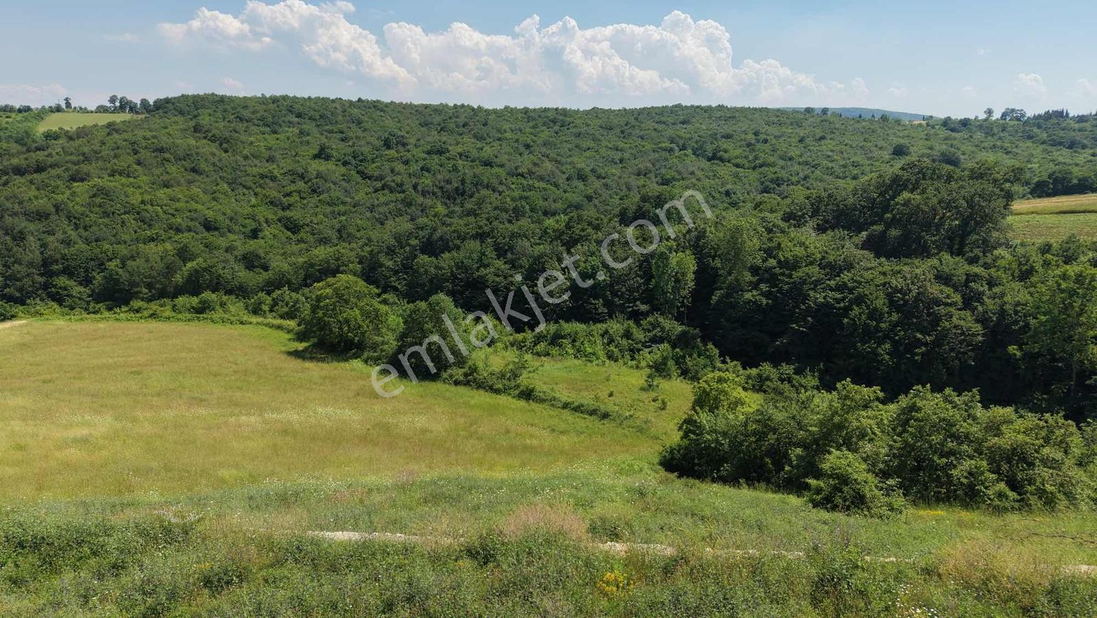 Taş Duvarla Çevrili Manzaralı 1.592 M2 - %5 İmarlı Arazi - Görsel 4