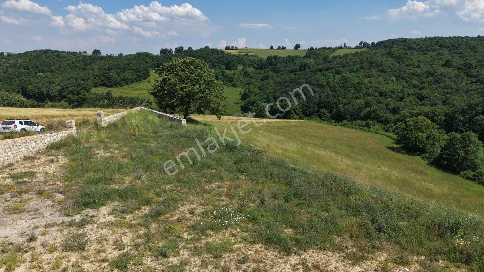 Taş Duvarla Çevrili Manzaralı 1.592 M2 - %5 İmarlı Arazi - Görsel 10