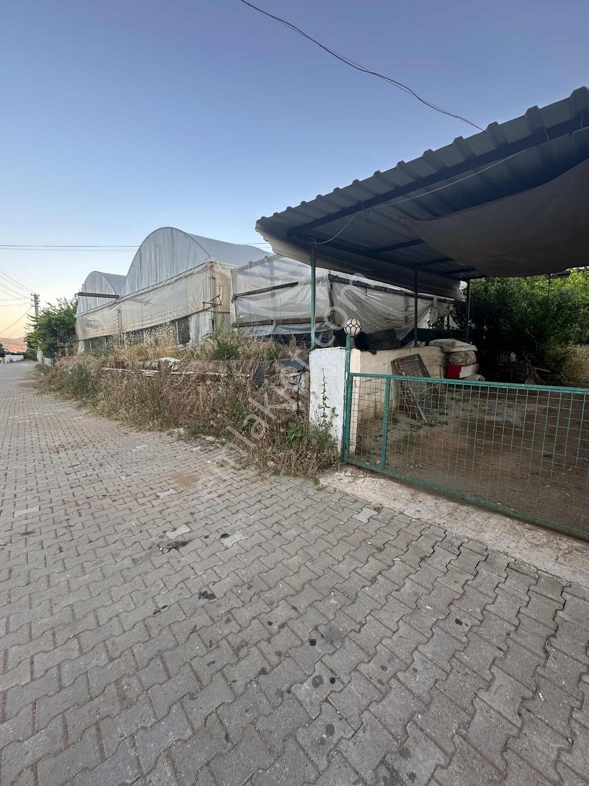 Akbaşlar'dan Milas Kafacada 395 M2 Fırsat Arsa - Görsel 7