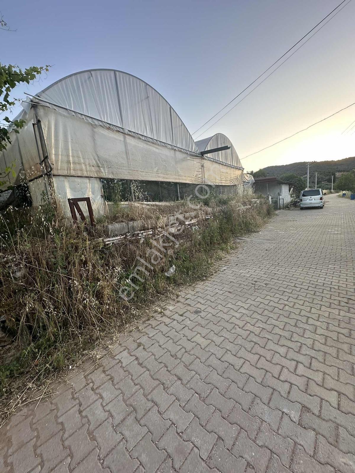 Akbaşlar'dan Milas Kafacada 395 M2 Fırsat Arsa - Görsel 12