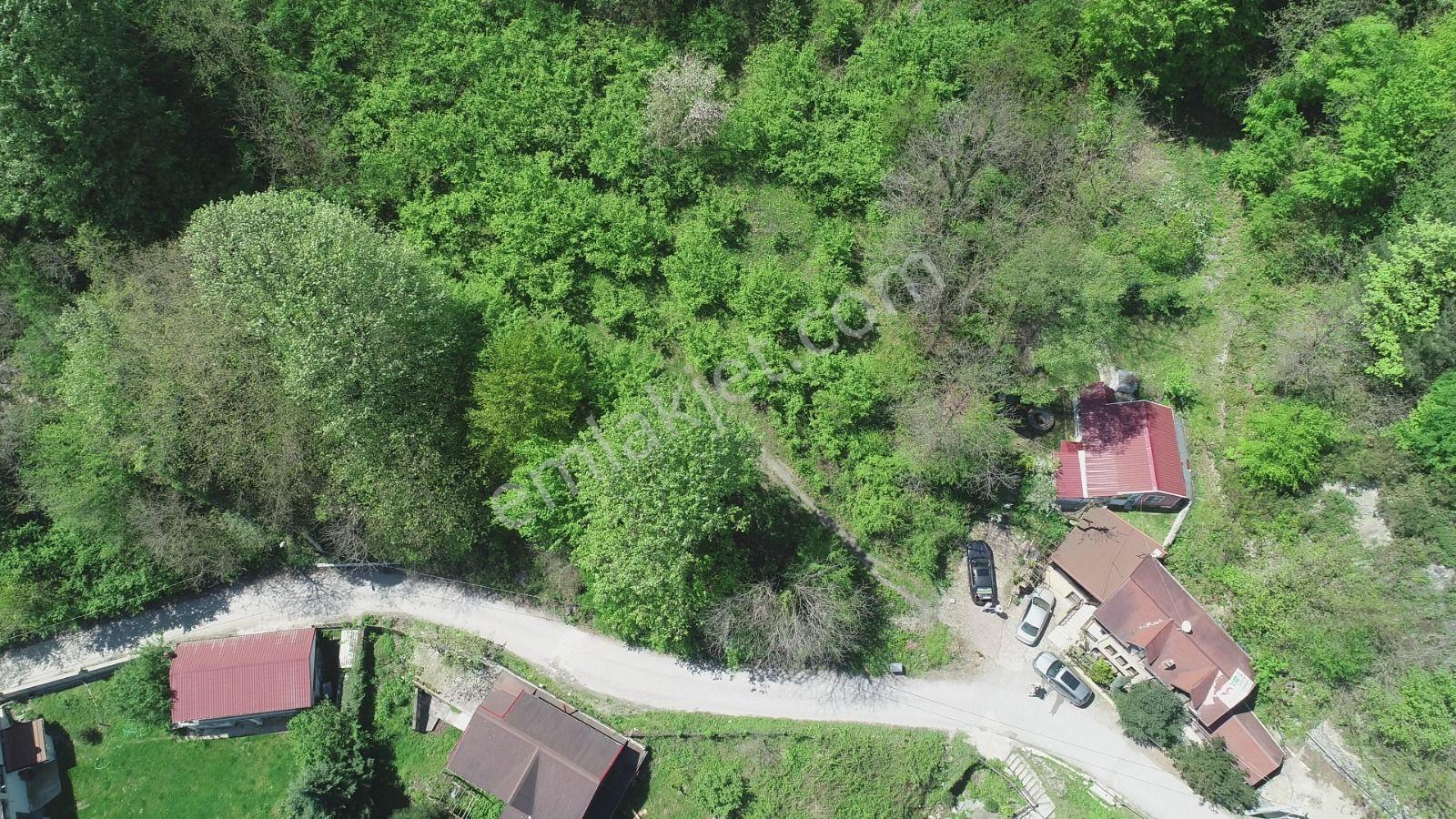 Sapanca Şükriye’de Satılık 3.086 M2 Fındıklık - Görsel 10