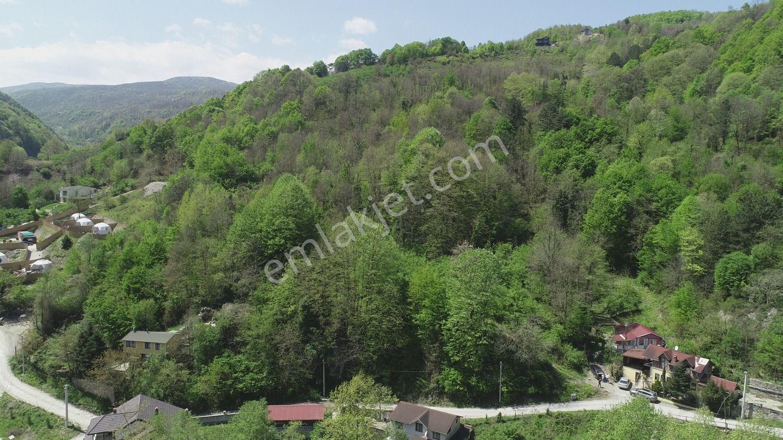 Sapanca Şükriye’de Satılık 3.086 M2 Fındıklık - Görsel 6