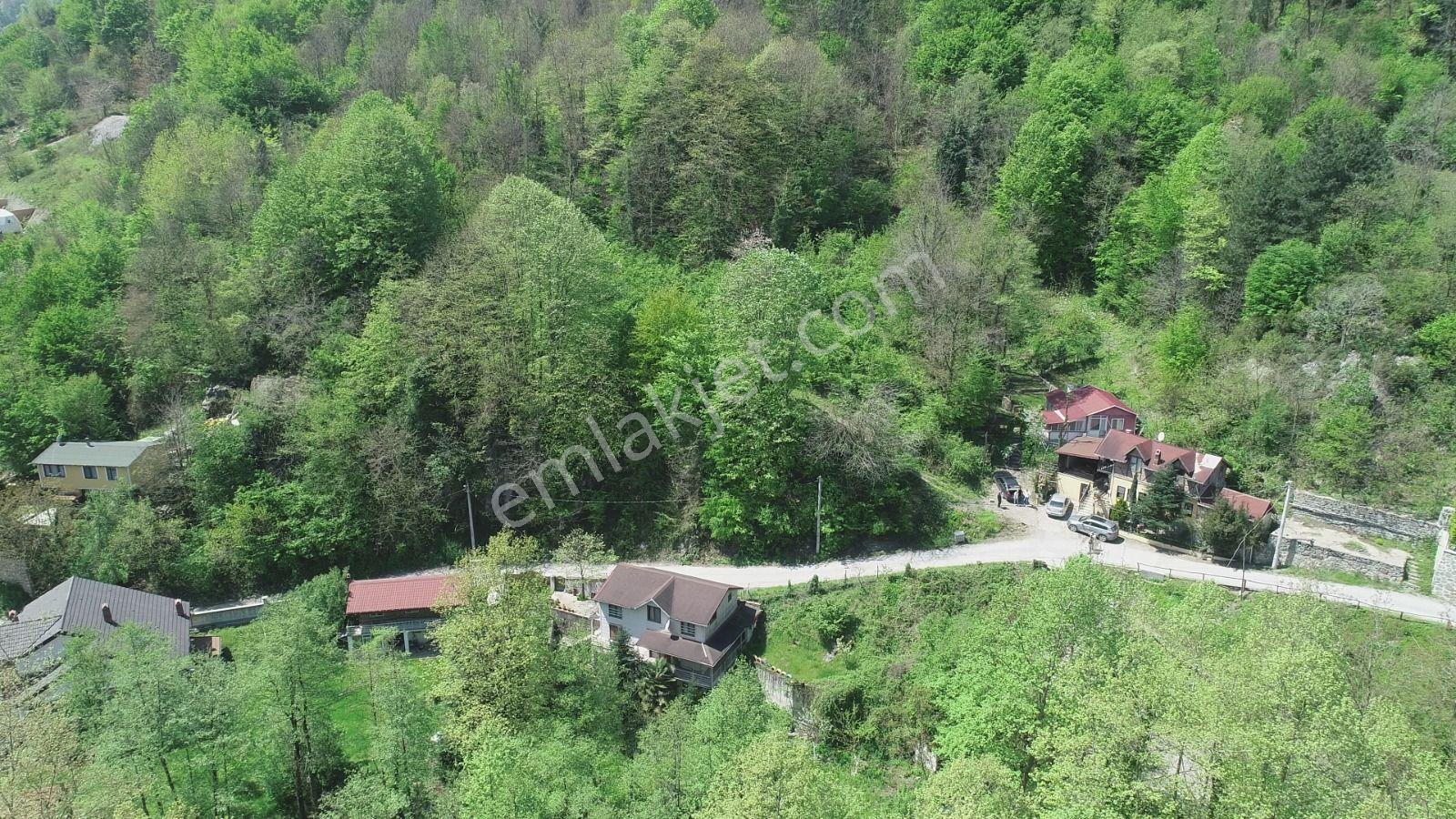 Sapanca Şükriye’de Satılık 3.086 M2 Fındıklık - Görsel 12