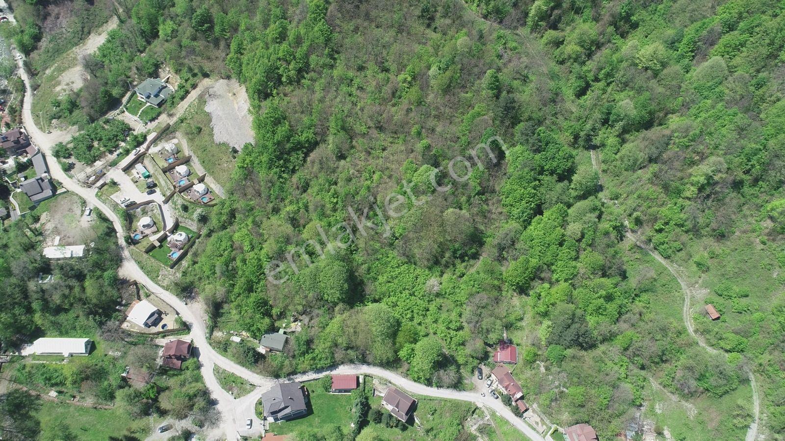 Sapanca Şükriye’de Satılık 3.086 M2 Fındıklık - Görsel 11