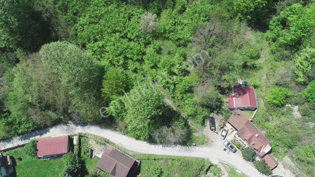Sapanca Şükriye’de Satılık 3.086 M2 Fındıklık