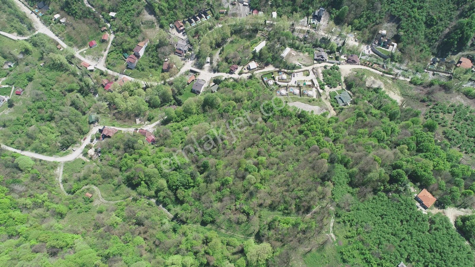 Sapanca Şükriye’de Satılık 3.086 M2 Fındıklık - Görsel 13